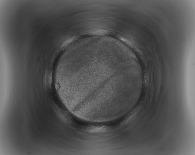 X0000086270206200704191932