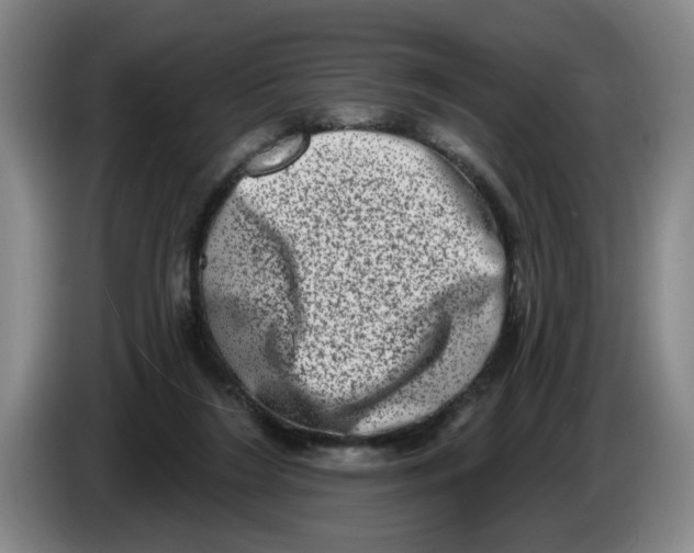 X0000086270212200704191932