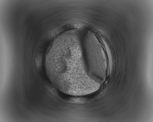 X0000086270221200704191931