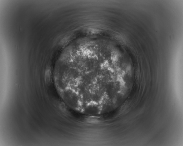 X0000086270222200704191931