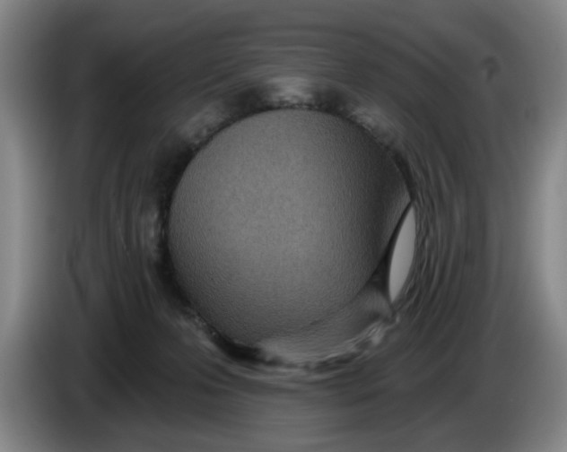 X0000086270223200704191931