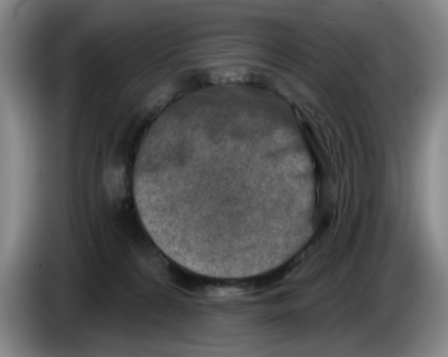 X0000086270224200704191931