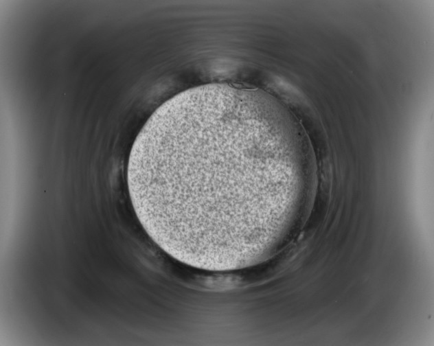 X0000086270225200704191931