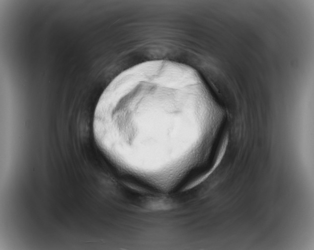 X0000086270226200704191931