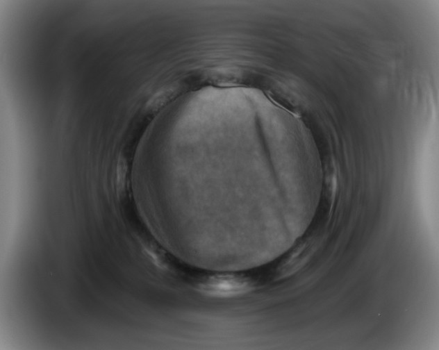 X0000086270231200704191931