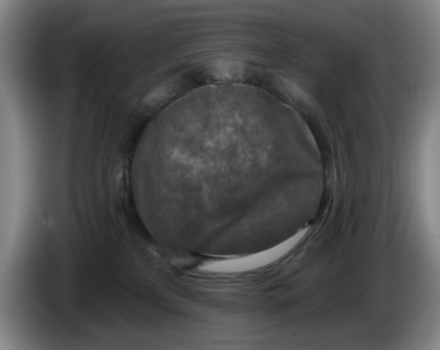 X0000086270233200704191931