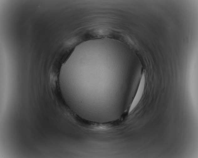 X0000086270235200704191931