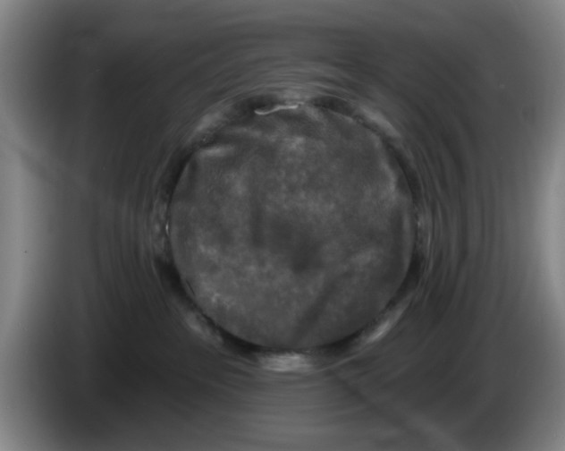 X0000086270237200704191931