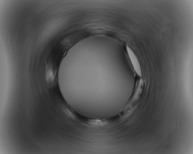 X0000086270239200704191931