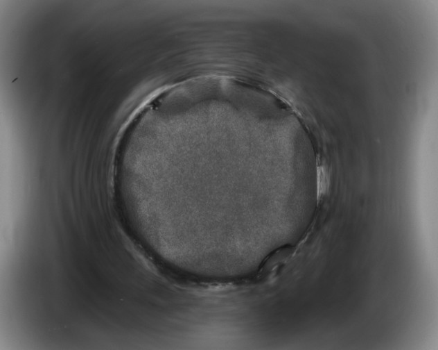 X0000086270243200704191931