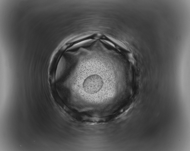 X0000086270244200704191931