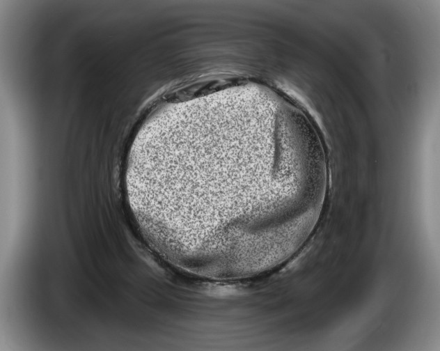 X0000086270249200704191931