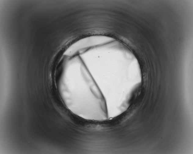 X0000086270254200704191931