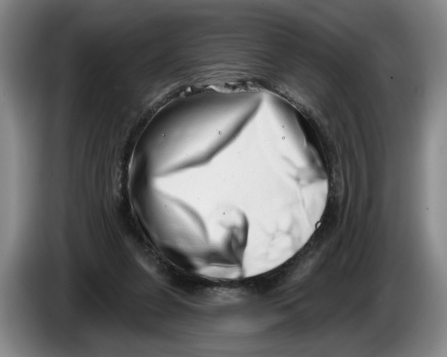 X0000086270255200704191931