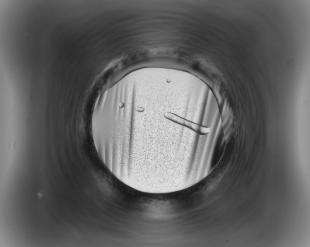 X0000086270256200704191931