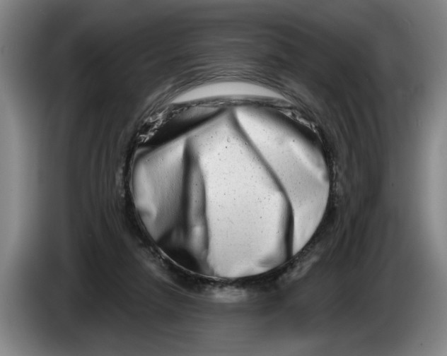 X0000086270258200704191931