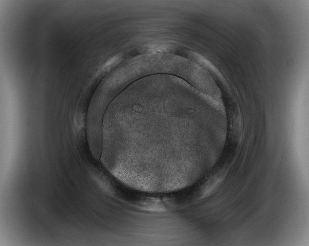 X0000086270260200704191931