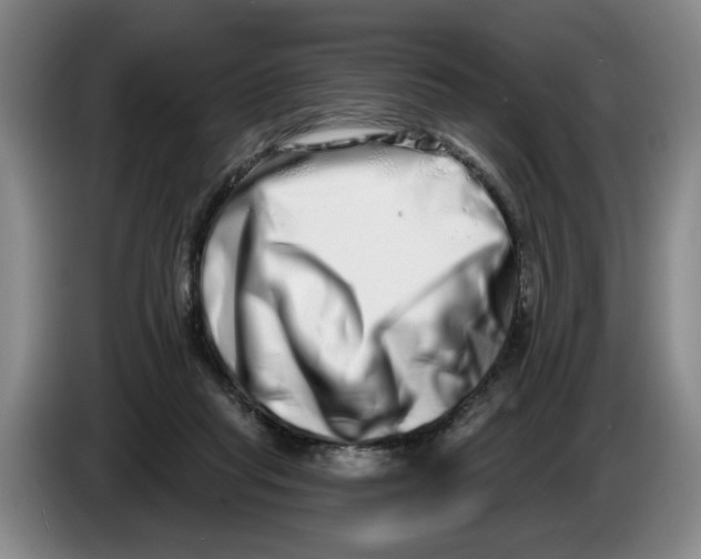 X0000086270261200704191931