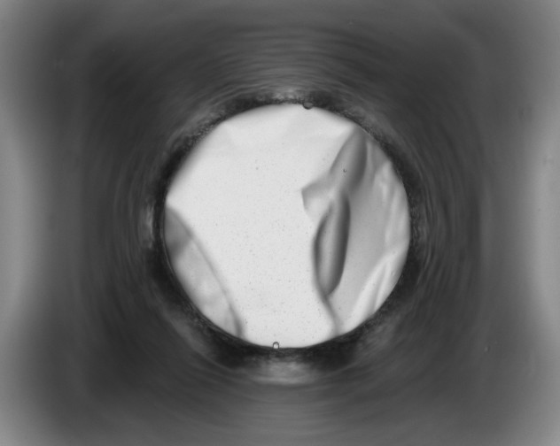 X0000086270262200704191931