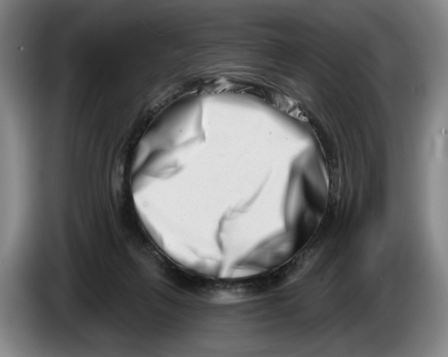 X0000086270263200704191931