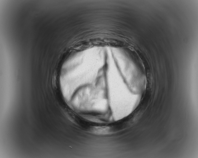 X0000086270266200704191931