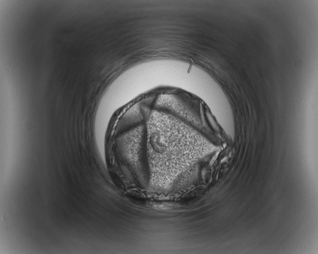 X0000086270268200704191931