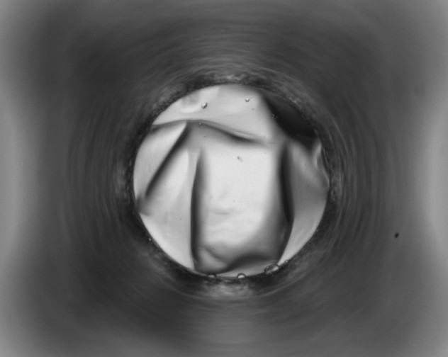 X0000086270270200704191931