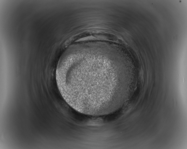 X0000086270271200704191931