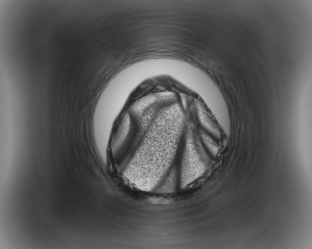 X0000086270272200704191931