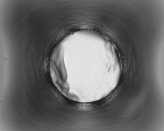 X0000086270273200704191931