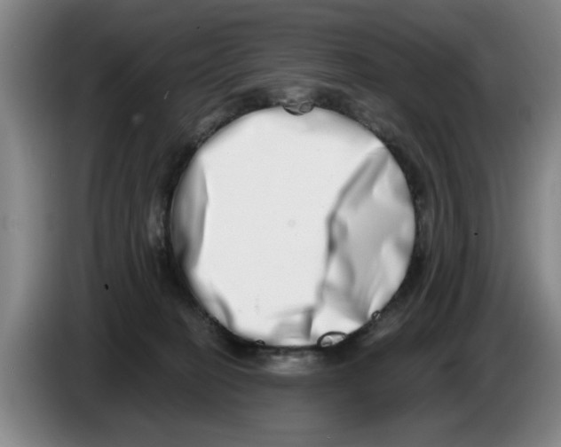 X0000086270274200704191931