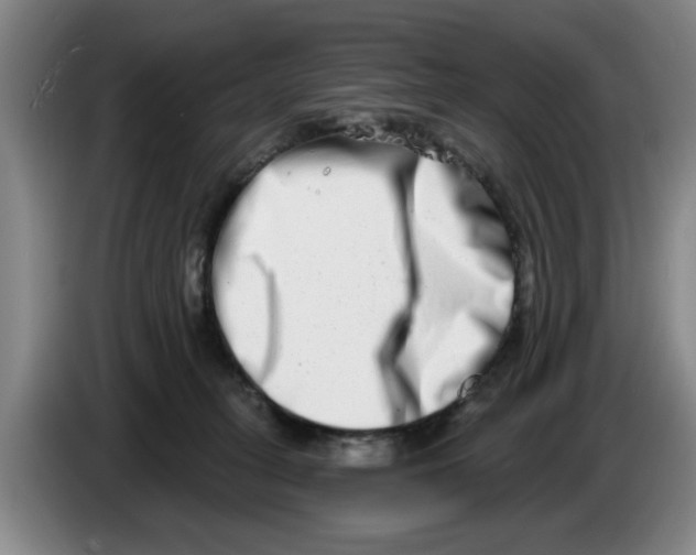 X0000086270275200704191931