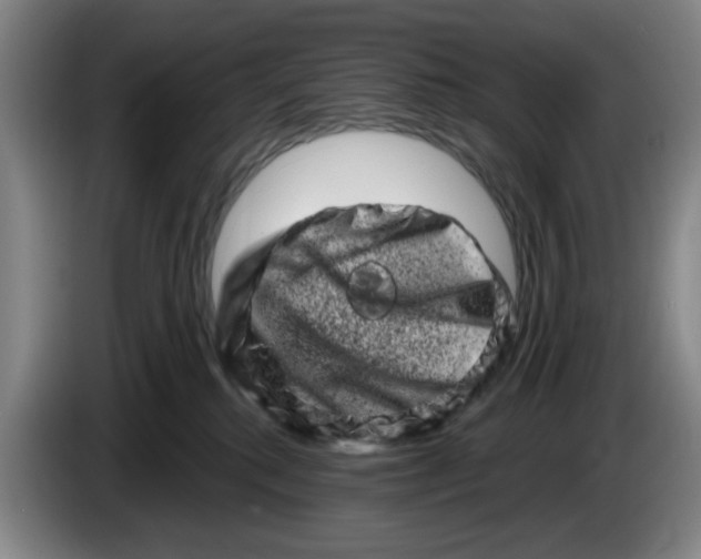 X0000086270280200704191931