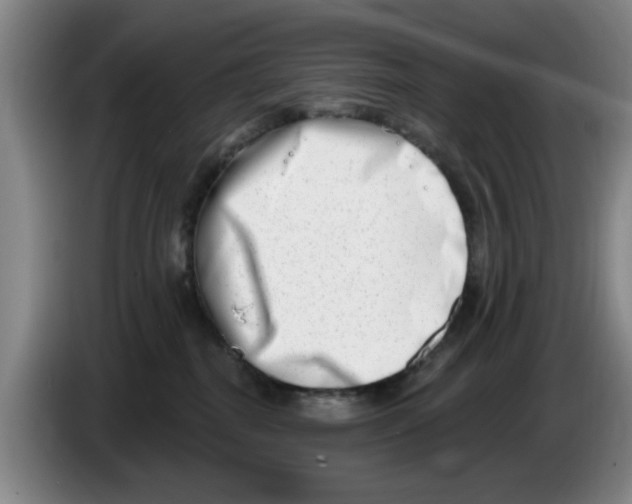 X0000086270282200704191931