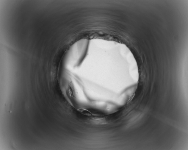 X0000086270283200704191931