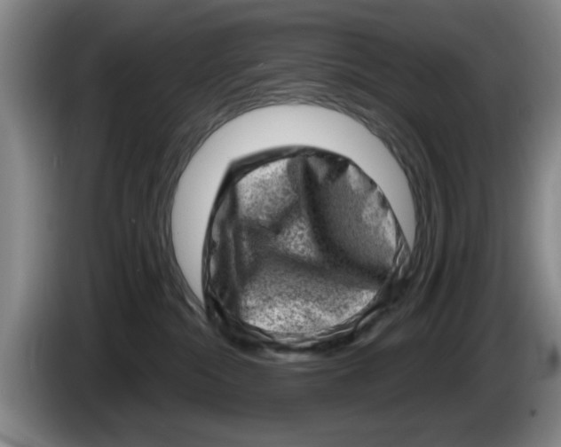 X0000086270284200704191931