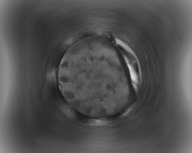 X0000086270286200704191931