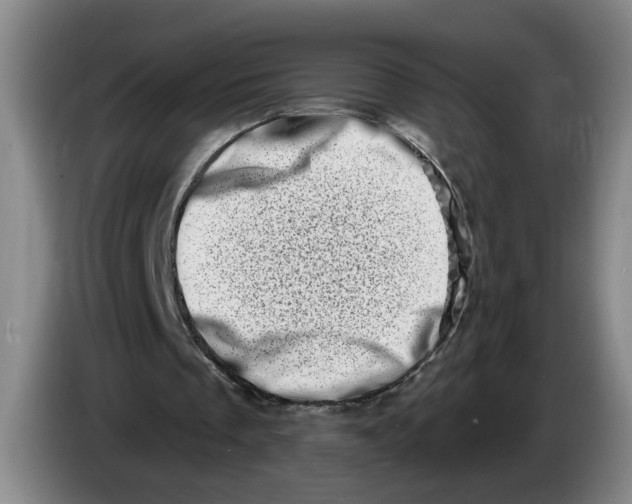 X0000086270289200704191931