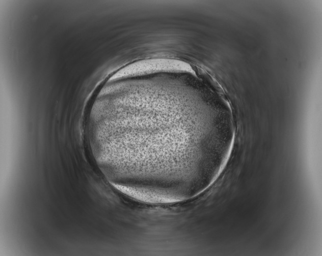 X0000086270290200704191931