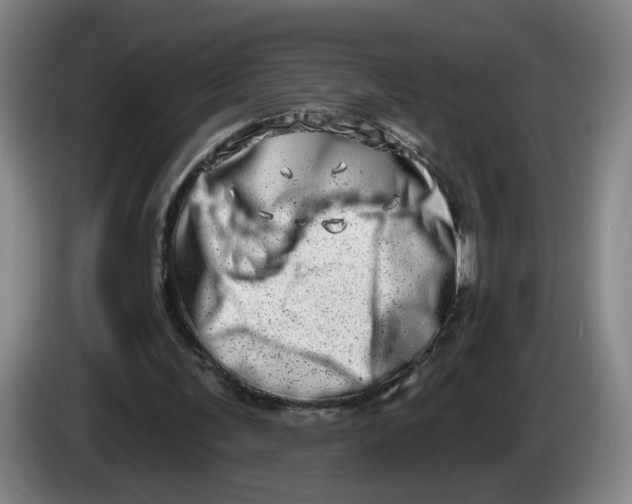 X0000086270291200704191931