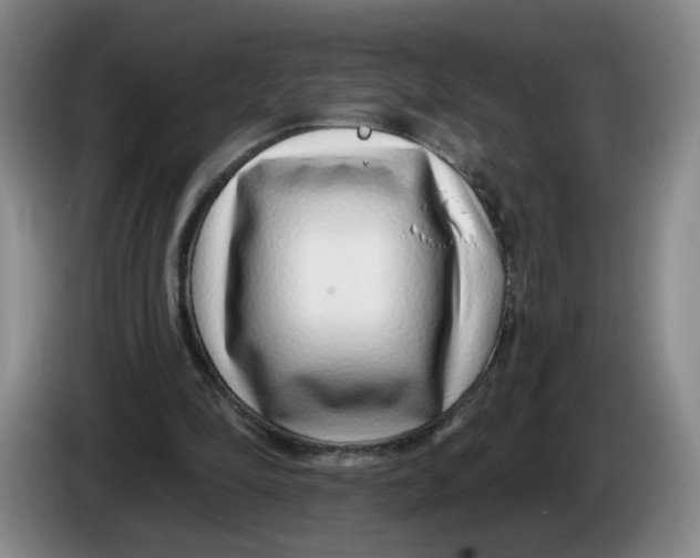 X0000086270294200704191930