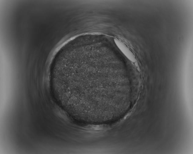 X0000086270295200704191930