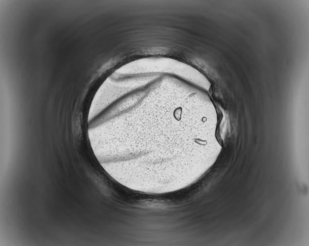 X0000086270300200704191930