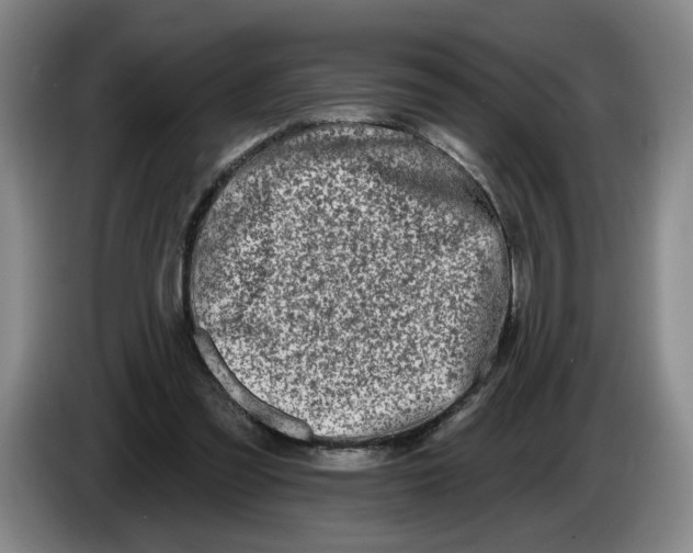 X0000086270301200704191930