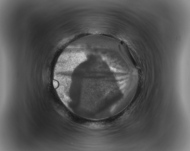 X0000086270303200704191930