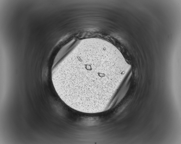 X0000086270304200704191930