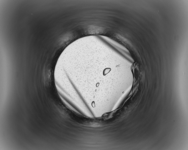 X0000086270308200704191930