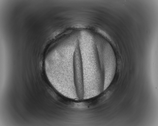 X0000086270309200704191930