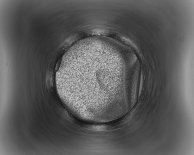 X0000086270313200704191930