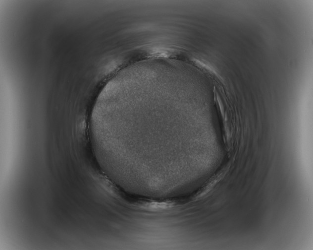 X0000086270314200704191930